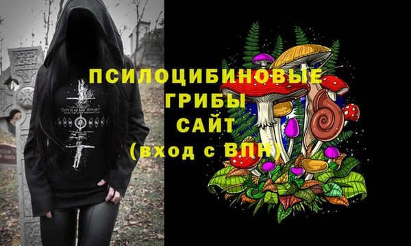 мдпв Абаза