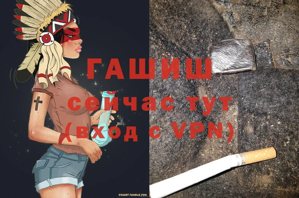 гидра Алзамай
