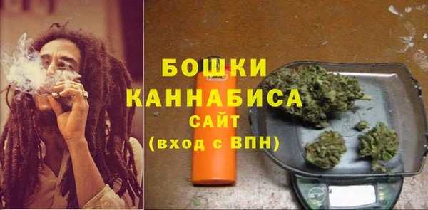 стафф Майский